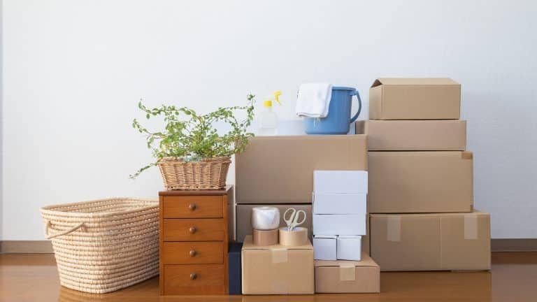 New Year, New Start: What parents need to know about relocating